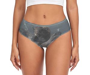 Linomo Womens Underwear Buffalo North American Briefs Hipster Panties for Women Girls