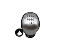 LinQianBhD Gear Lever Shift Knob for Focus for MK2 2004 2005 2006 2007 2008 2009 2010 2011 2012 Car 5/6 Speed Gear Shift Knob(Silver 6 Speed)