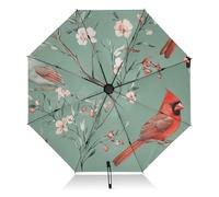 linqin Northern Birds Sage Green Travel Umbrella Collapsible Reverse Compact Umbrella for Sun Sun Large 8 Ribs Windproof UV Umbrella Automatic for Women Men