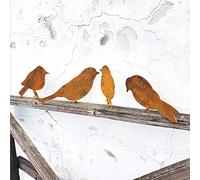 Lin's Wood 4 Pieces Rusty Birds Decoration, Metal Rusty Bird Garden Ornaments, Hummingbird, Crow, Dove, Tit, Rustic Outdoor Garden Fence Decor