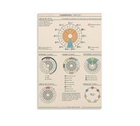 LINTEZHG The Circle of Fifths Harmonic Circles Poster Decorative Painting Canvas Wall Art Living Room Poster Bedroom Painting Wall Art Picture Print Modern Family Room Decor 20 x 30 Inches (50 x 75 cm