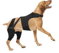Linvimia Canine Systems for Tear Rehabilitation and Daily Comfort Pet Back Leg Stabilizer Adjustable Reinforce Canines
