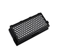 LINXINS Active Air Clean Filter, SF-AA50 Replacement Filters Compatible with Complete C2 C3, Miele Filter Vacuum C3, Compact C1, C2 Vacuum Cleaner, Miele S4 S5 S6 S8 S4000 S5000 S6000 S8000 Series