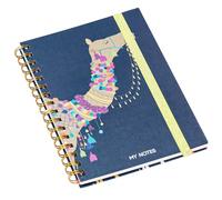 LINXIU Notebook A5 Lined Journal Diary Notepad Wirebound Spiral Notebooks Hard Cover Project Book for Work Office School Writing 160 Pages