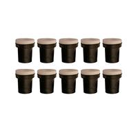 Lioaeust Sand Blasting Nozzle, 10pcs Sandblaster Nozzles Sandblast Tip for 5gallon Sandblasting Tanks(2.5mm)