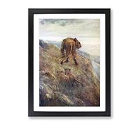 Lion And Cubs By John Macallan Swan Classic Painting Framed Wall Art Print, Ready to Hang Picture for Living Room Bedroom Home Office Décor, Black A3 (34 x 46 cm)