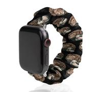 Lion And Lamb Funny Stretch Bands Compatible with IWatch Replacement Smart Watch Strap