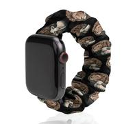 Lion And Lamb Funny Stretch Bands Compatible with IWatch Replacement Smart Watch Strap