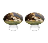 Lion and Lamb Peace Funny Cabinet Knobs 2 Pack Round Drawer Dresser Pulls Door Handles Knobs for Door Wardrobe