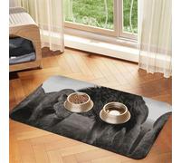 Lion And Lioness Printed Pet Bowl Mats, Non-Slip And Tasteless Dog And Cat Feeding Mats
