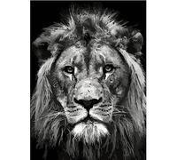 Lion Black and White # 4 DIY Paint by Numbers for Adults Beginner, Adult Paint by Number Kits 16" x 20" / 40 x 50cm, Drawing Paintwork Paintbrushes Craft