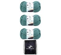 Lion Brand Yarn Hue & Me 617-173 Agave