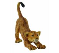 Lion Cub (Stretching)