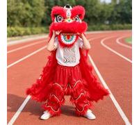 Lion Dance Costume Chinese Dragon for New Year Outdoor Sports Performance Dragon, Suitable For Heights 100-180cm