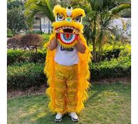 Lion Dance Costume Chinese Dragon for New Year Outdoor Sports Performance Dragon, Suitable For Heights 100-180cm