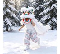 Lion Dance Costume Chinese Dragon for New Year Outdoor Sports Performance Dragon, Suitable For Heights 100-180cm