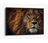 Lion Head Strength Courage Graffiti Canvas Floater Frame Print Picture Art - Black Frame 30 inch wide x 20 inch high
