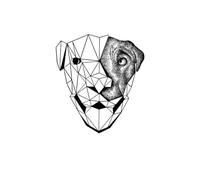 Lion head tattoo stickers herbal simulation semi-permanent waterproof and sweat-proof long-lasting tattoo stickers