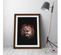 lion in darkness Stunning Framed Wall Art Print Picture - A4 - Walnut Frame