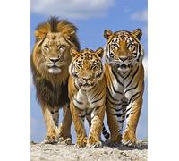 Lion Jigsaw Puzzles for Adults 1000 Piece Jigsaw Puzzles for Adults 1000 Pieces Jigsaws Puzzle Tiger Educational Games, Stress Relief Fun Smart Games, Gifts for Friends Family, Home Decoration g-951