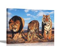 Lion Leopard and Tiger Animal Canvas Prints Modern Wall Art Nature Pictures African Wildlife Artwork for Home OfficeExtra Large 101 x 76cm (40 x 30 inches)