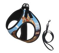 Lion Leopard And Tiger Fight For Food Printed,Pet Harness,Adjustable Reflective Dog Harness,Pet Leash Vest,S