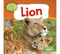 Lion (Life Cycles)
