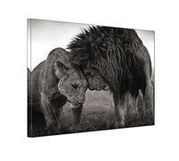 Lion Lioness Animal Master Bedroom Wall Art Black Artwork Framed Large Wild Animals Love Greyscale Picture Canvas Painting Print for Office Home Decor Minimalist 24x36inch