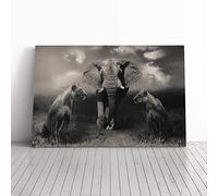 Lion Lionesses and an Elephant Canvas Print | Gallery Wrapped 30mm Frame Wall Art | 30x20 inches | Ready to Hang | Modern Animals Picture | Living Room Bedroom Lounge Office