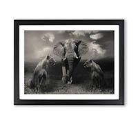 Lion Lionesses and an Elephant Modern Framed Wall Art Print, Ready to Hang Picture for Living Room Bedroom Home Office Décor, Black A4 (34 x 25 cm)