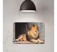 Lion look zoo Tin Signs Funny Metal Tin Sign Wall Art Garden House Plaque for Bathroom Kitchen Cafe Wall Halloween Christmas Decor, 20x30cm(8x12 Zoll)