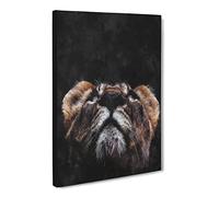 Lion Looking Upwards Canvas Print | Gallery Wrapped 30mm Frame Wall Art | 20x14 inches | Ready to Hang | Modern Animals Picture | Living Room Bedroom Lounge Office