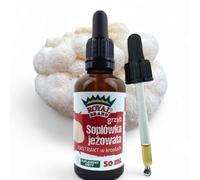 Lion Mane Extract / Lion Mane Mushroom / Promotes Memory / Lion Mane Mushroom to Support the Immune System / 50 ml / 1.7 FL OZ