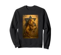 Lion Of Judah Jerusalem Western Wall The Star Of David Sweatshirt