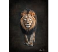 Lion Paint by Numbers for Adults Beginner with Frame, Animal Painting by Numbers for Children, DIY Acrylic Oil Painting Number Kits Art Crafts, Hobbies for Adults Room Wall Decor 70x100 cm Q-4619