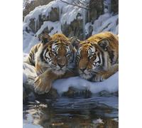 Lion Paint by Numbers for Adults, Snow Painting by Numbers for Beginners, DIY Acrylic Pigment Drawing Paintwork Arts and Crafts Kit, Hobbies for Adults Women, for Home Wall Decor 12x16 in 6-7849