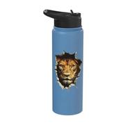 Lion Portrait Looking Through Hole Safari Zoo Wildlife Stainless Steel Insulated Water Bottle