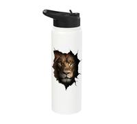 Lion Portrait Looking Through Hole Safari Zoo Wildlife Stainless Steel Insulated Water Bottle