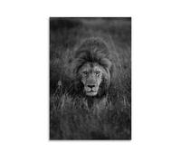 Lion Print African Animals Photo Poster Decorative Painting Canvas Mural Is Bright And Beautiful, Suitable for Office Bedroom Decorative Painting to Create The Right AtmosphereUnframe-style20x30inch(5