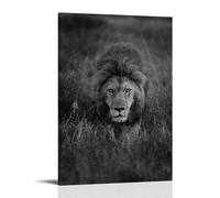 Lion Print African Animals Photo Poster Decorative Painting Canvas Mural Is Bright And Beautiful, Suitable for Office Bedroom Decorative Painting to Create The Right AtmosphereFrame-style12x18inch(30x