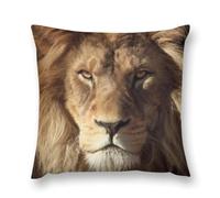 Lion Soft Plush Pillow Covers 20 "x20 "