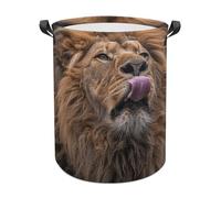 Lion Sticks Out Tongue Laundry Basket with Handles, Laundry Hamper with Internal Support, Foldable Waterproof Clothes Hamper 44x35cm for Bedroom, Bathroom, Laundry Room, Living Room
