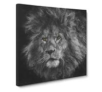 Lion with Piercing Eyes Canvas Print | Gallery Wrapped 30mm Frame Wall Art | 14x14 inches | Ready to Hang | Modern Animals Picture | Living Room Bedroom Lounge Office