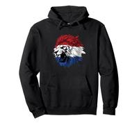 Lion With The Dutch Flag Vintage Netherlands Holland Pride Pullover Hoodie