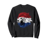 Lion With The Dutch Flag Vintage Netherlands Holland Pride Sweatshirt