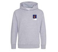 Lionel Messi Barcelona Icon Frame Kids Hoodie - Gray / 14-15 years