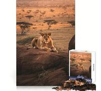 Lioness on A Rock Jigsaw Puzzles for Adults1000 Piece Logic Fun Sharp Detail Playful Challenge Christmas Idea (38x26cm)