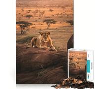 Lioness on A Rock Jigsaw Puzzles for Adults1000 Piece Logic Fun Sharp Detail Playful Challenge Christmas Idea (38x26cm)