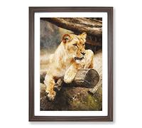 Lioness Painting Framed Print | A2 Walnut Framed Wall Art | Ready to Hang | Modern Historical Picture | Living Room Bedroom Lounge Office