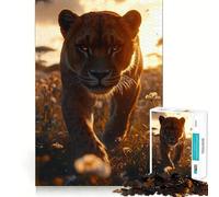 Lioness Walking Through Field at Sunset Jigsaw Puzzle for Adults 1000 Pieces Cognitive Train Clear Tone Pattern Assemble Birthday Art Gift (50x75cm)